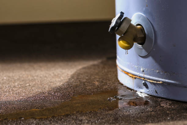 Best Mold removal after water damage  in Lakeview, WA