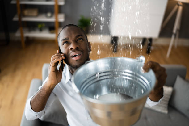 Best Local water damage restoration  in Lakeview, WA
