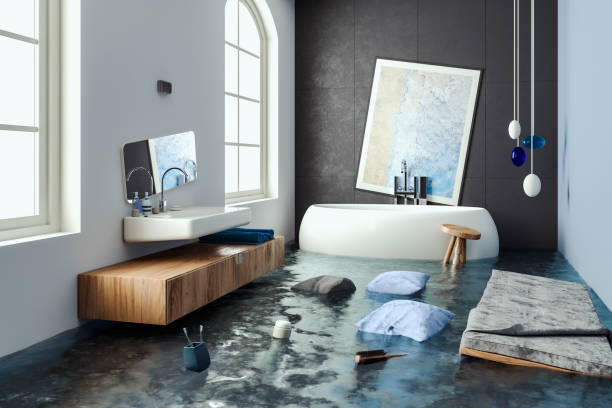 Best Water damage cleanup near me  in Lakeview, WA