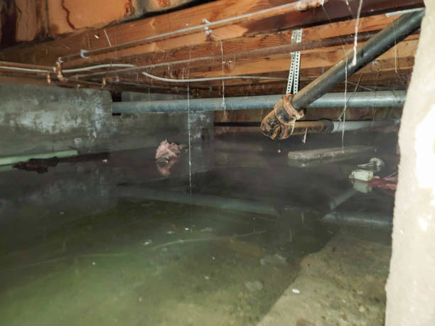 Best Emergency water damage restoration  in Lakeview, WA