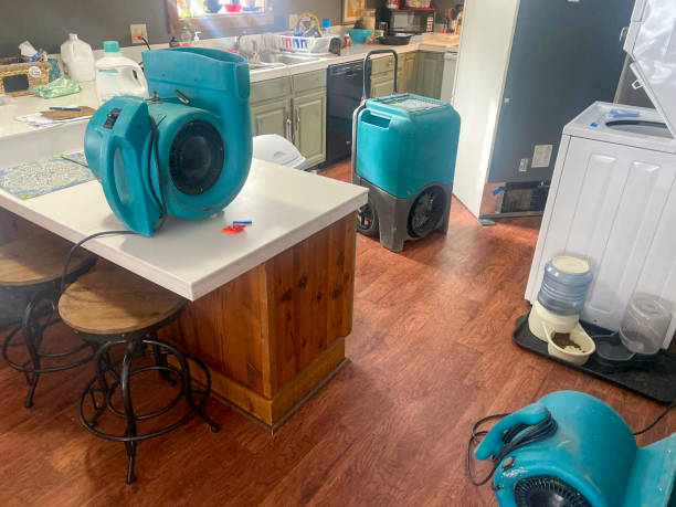 Best Ceiling water damage repair  in Lakeview, WA