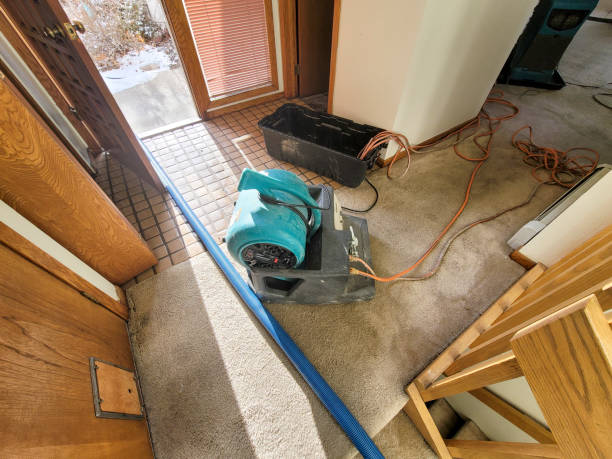 Best Flood damage cleanup  in Lakeview, WA