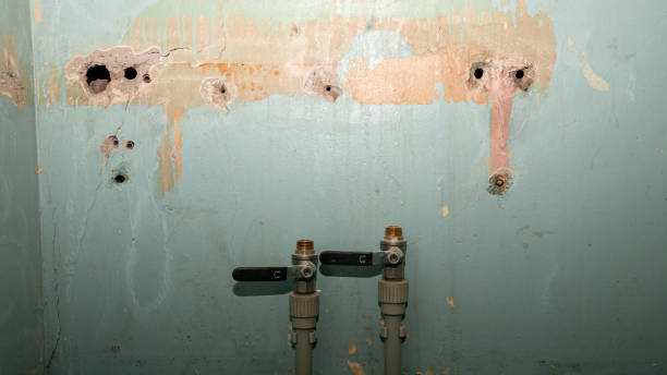  Lakeview, WA Water damage restoration Pros