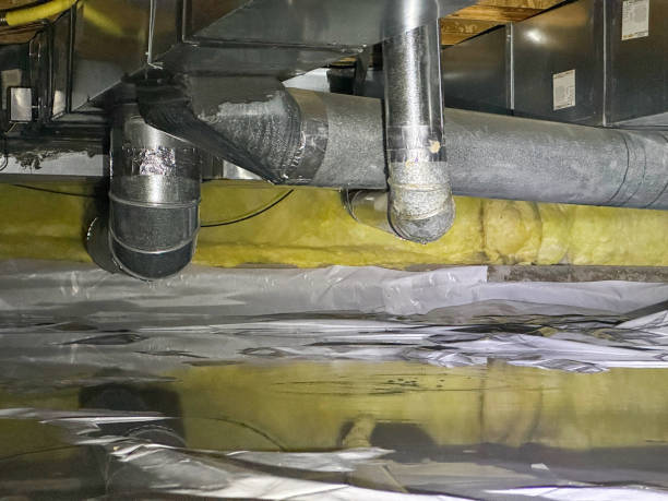 Best Water damage restoration experts  in Lakeview, WA