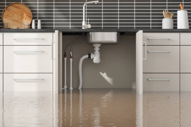 Best 24-hour water damage restoration  in Lakeview, WA