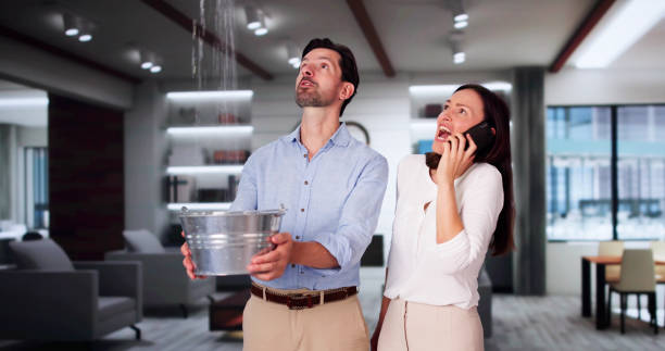 Best Fire Damage Restoration  in Lakeview, WA